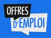 https://www.lemediasocial-emploi.fr/media/cache/articles_thumbnail/uploads/images/articles-small/5c3372dbe2dc3_Conseils_Redaction offres emploi.jpeg